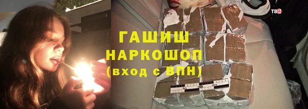 гашик Алексин