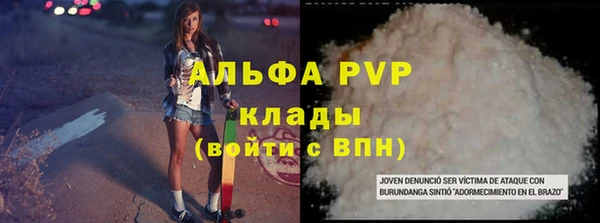 гашик Алексин