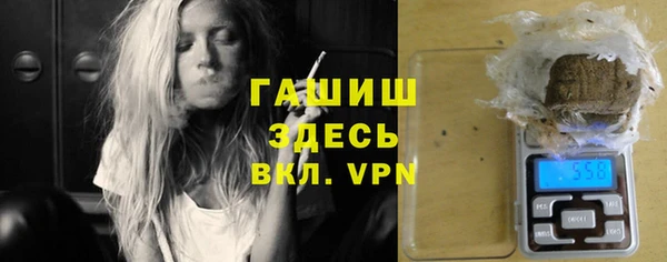 гашик Алексин