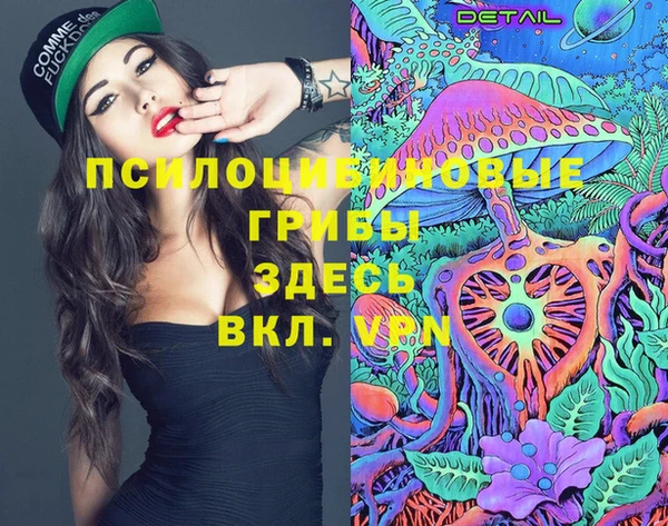 прущая мука Алзамай