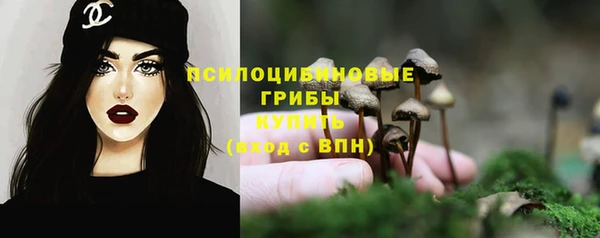 твердый Нея