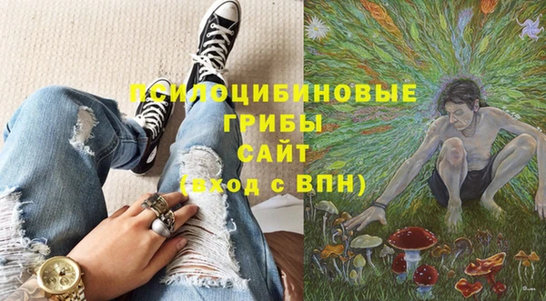 сатива Алексеевка