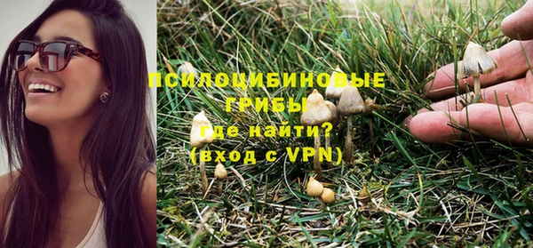 прущая мука Алзамай