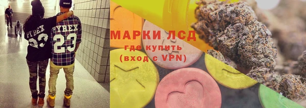 гашик Алексин