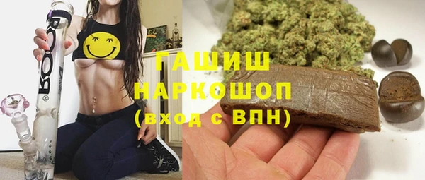 гашик Алексин